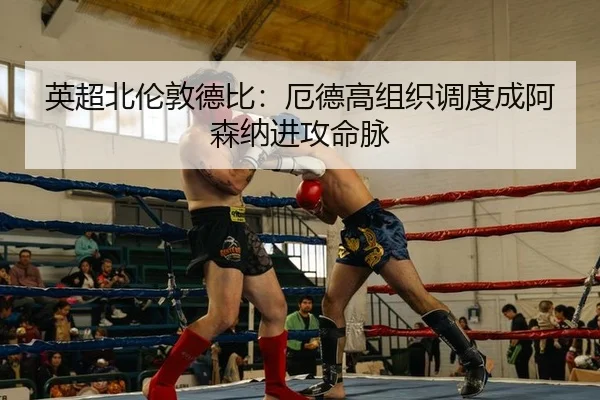 英超北伦敦德比：厄德高组织调度成阿森纳进攻命脉